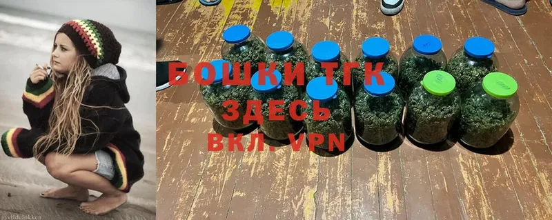 Конопля индика  Верея 